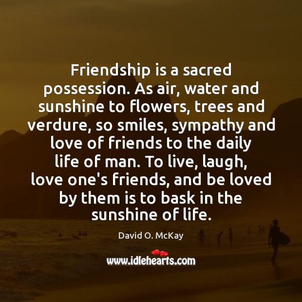 Friendship is a sacred possession. As air, water and sunshine to flowers, David O. McKay Picture Quote