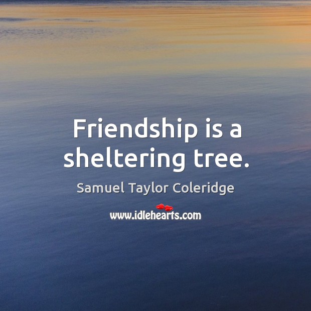 Friendship is a sheltering tree. Samuel Taylor Coleridge Picture Quote