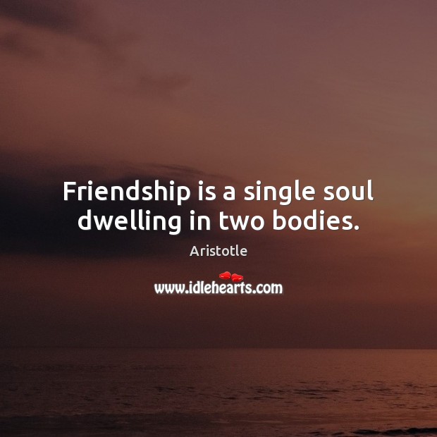 Friendship is a single soul dwelling in two bodies. Image