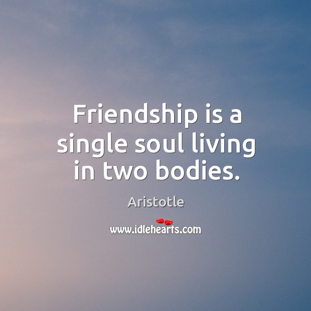 Friendship is a single soul living in two bodies. Image
