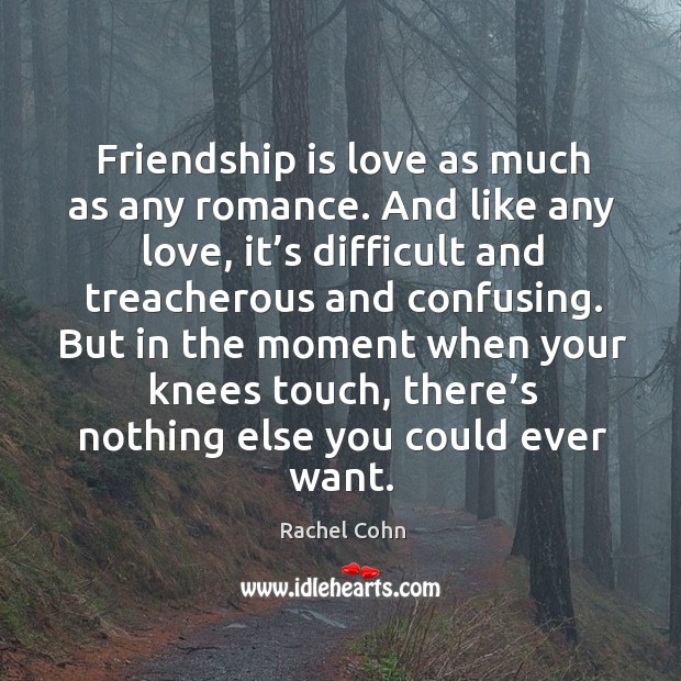 Friendship is love as much as any romance. And like any love, Rachel Cohn Picture Quote