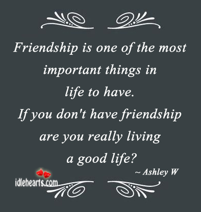 Friendship is one of the most important things Ashley W Picture Quote