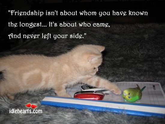 Friendship isn’t about whom you have known the longest. Friendship Quotes Image