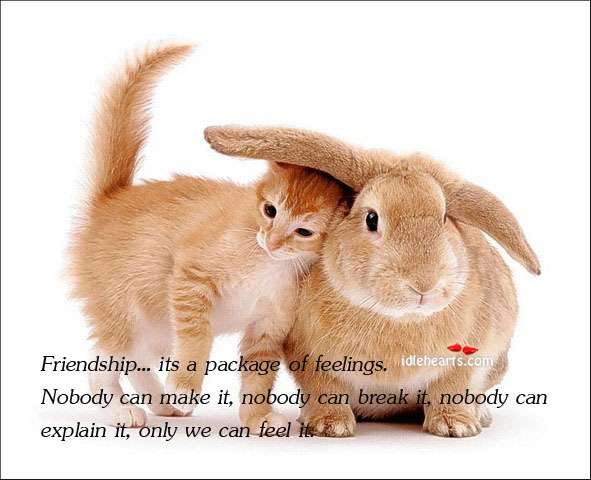 Friendship… Its a package of feelings. Nobody can make it Image