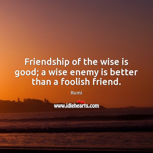 Friendship of the wise is good; a wise enemy is better than a foolish friend. Image