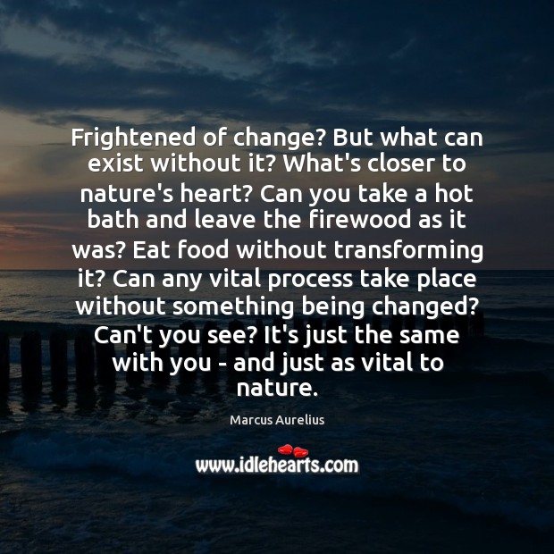 Frightened of change? But what can exist without it? What’s closer to Image