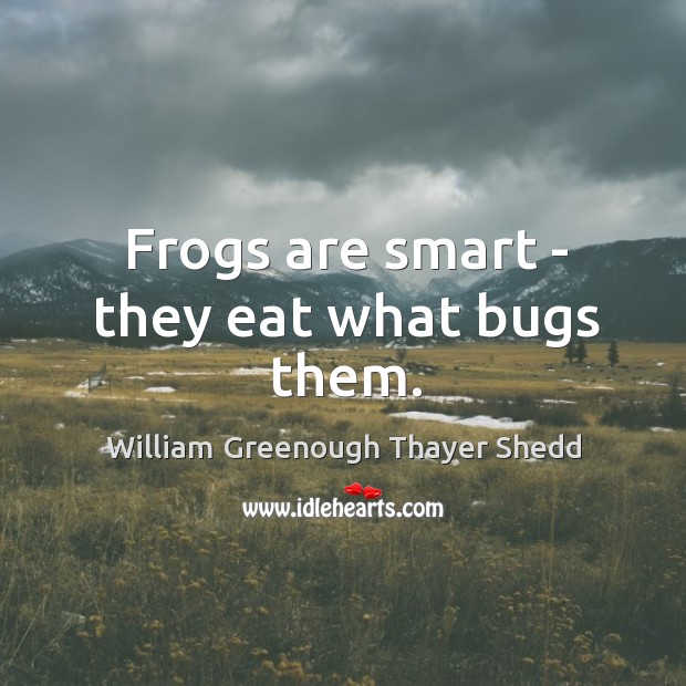 Frogs are smart – they eat what bugs them. William Greenough Thayer Shedd Picture Quote