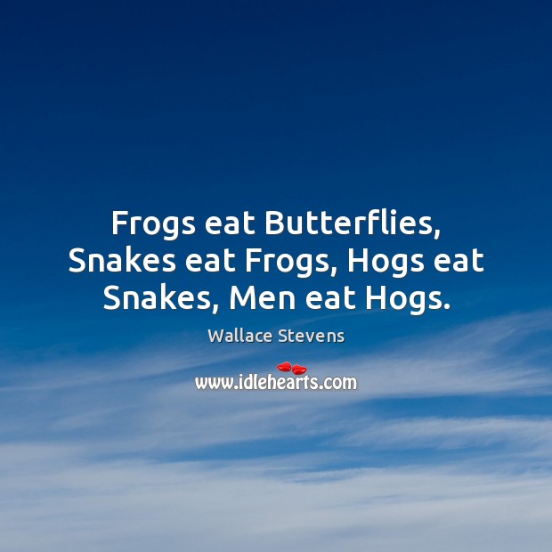Frogs eat Butterflies, Snakes eat Frogs, Hogs eat Snakes, Men eat Hogs. Wallace Stevens Picture Quote