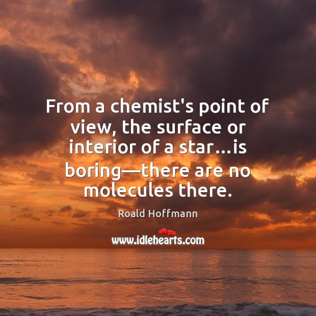 From a chemist’s point of view, the surface or interior of a Roald Hoffmann Picture Quote