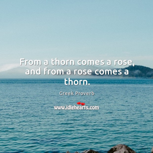 From a thorn comes a rose, and from a rose comes a thorn. Greek Proverbs Image