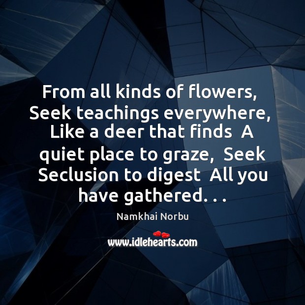 From all kinds of flowers,  Seek teachings everywhere,  Like a deer that Image