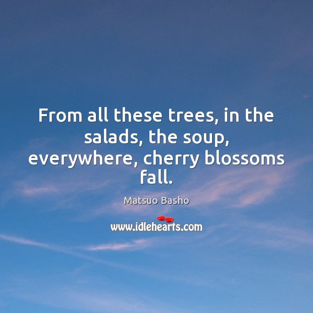 From all these trees, in the salads, the soup, everywhere, cherry blossoms fall. Image