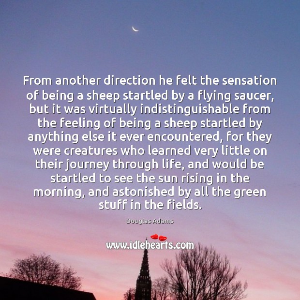 From another direction he felt the sensation of being a sheep startled Douglas Adams Picture Quote