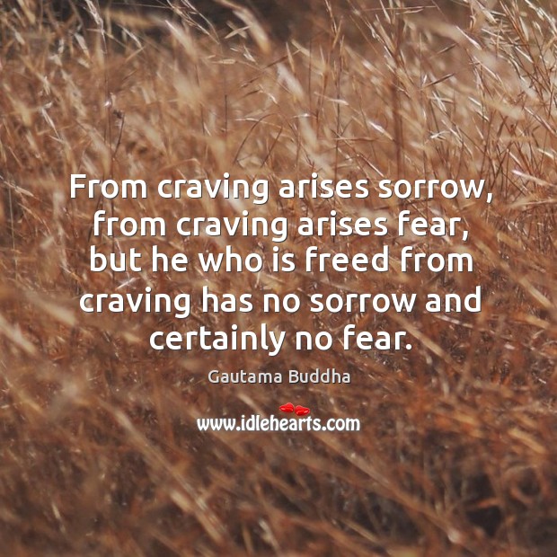 From craving arises sorrow, from craving arises fear, but he who is Gautama Buddha Picture Quote