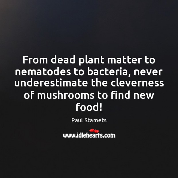 From dead plant matter to nematodes to bacteria, never underestimate the cleverness Paul Stamets Picture Quote