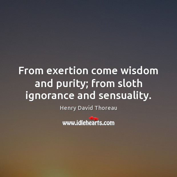 From exertion come wisdom and purity; from sloth ignorance and sensuality. Henry David Thoreau Picture Quote