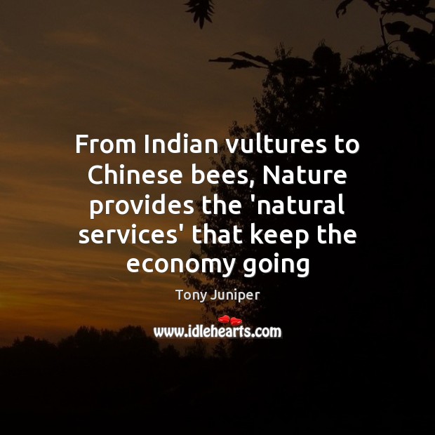 From Indian vultures to Chinese bees, Nature provides the ‘natural services’ that Tony Juniper Picture Quote