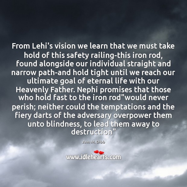 From Lehi’s vision we learn that we must take hold of this Ann M. Dibb Picture Quote