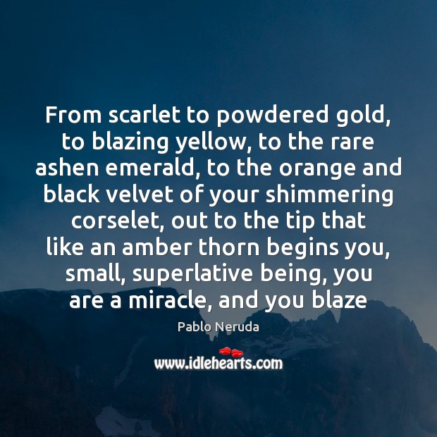 From scarlet to powdered gold, to blazing yellow, to the rare ashen Pablo Neruda Picture Quote