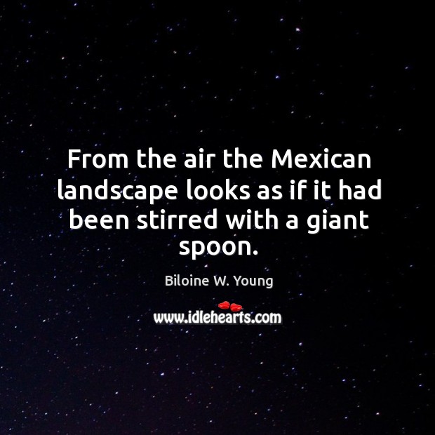 From the air the Mexican landscape looks as if it had been stirred with a giant spoon. Biloine W. Young Picture Quote