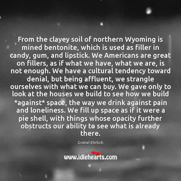 From the clayey soil of northern Wyoming is mined bentonite, which is Gretel Ehrlich Picture Quote