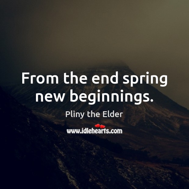 From the end spring new beginnings. Pliny the Elder Picture Quote