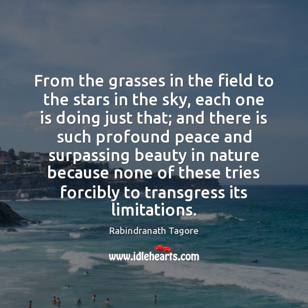 From the grasses in the field to the stars in the sky, Rabindranath Tagore Picture Quote