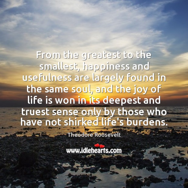 From the greatest to the smallest, happiness and usefulness are largely found Theodore Roosevelt Picture Quote