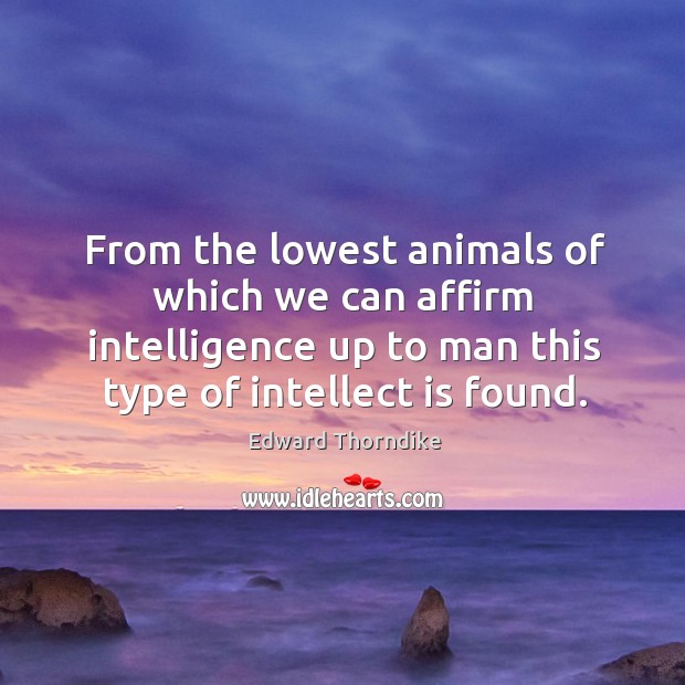 From the lowest animals of which we can affirm intelligence up to man this type of intellect is found. Image