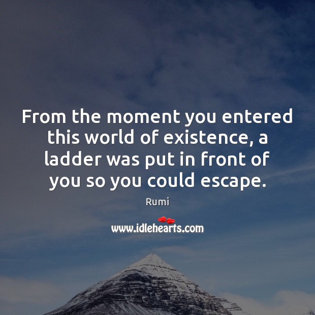 From the moment you entered this world of existence, a ladder was Rumi Picture Quote