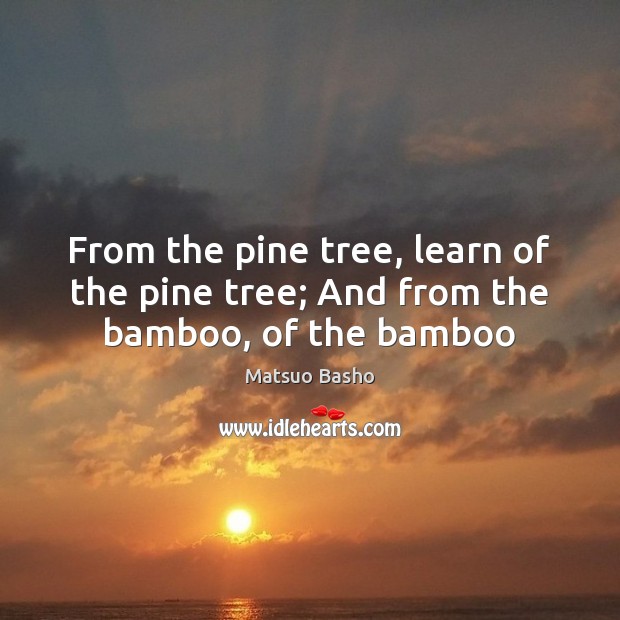 From the pine tree, learn of the pine tree; And from the bamboo, of the bamboo Matsuo Basho Picture Quote