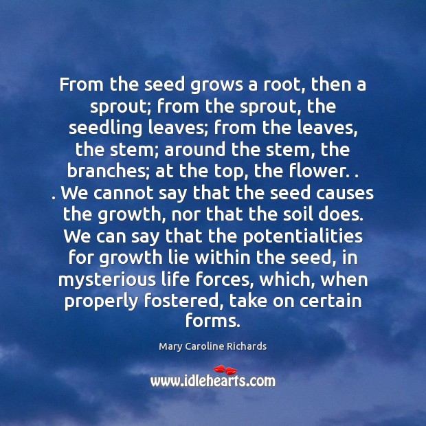 From the seed grows a root, then a sprout; from the sprout, Mary Caroline Richards Picture Quote