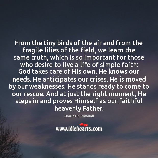 From the tiny birds of the air and from the fragile lilies Charles R. Swindoll Picture Quote