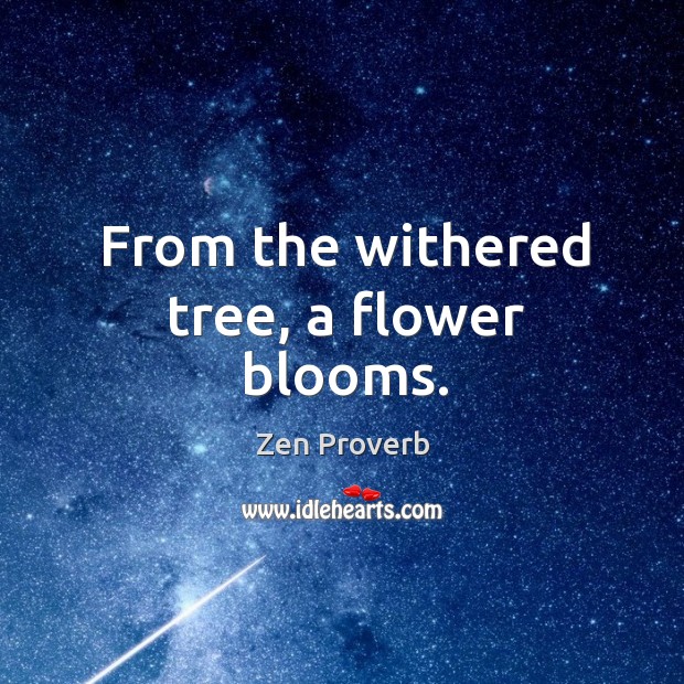 From the withered tree, a flower blooms. Image