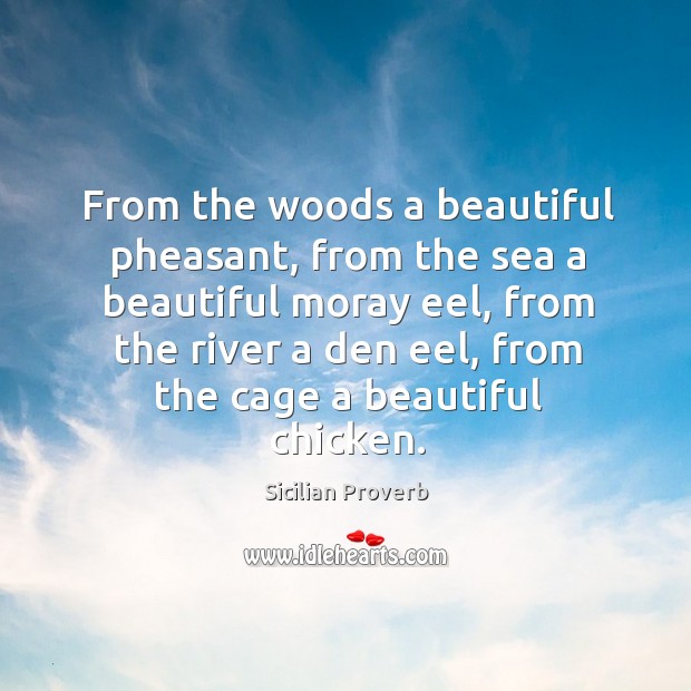 From the woods a beautiful pheasant, from the sea a beautiful moray eel Image