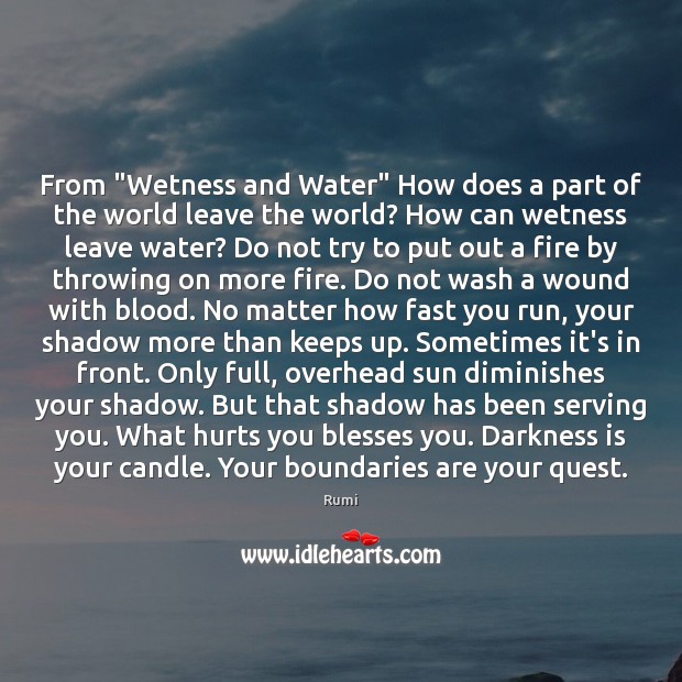 From “Wetness and Water” How does a part of the world leave Rumi Picture Quote