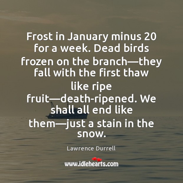 Frost in January minus 20 for a week. Dead birds frozen on the Lawrence Durrell Picture Quote
