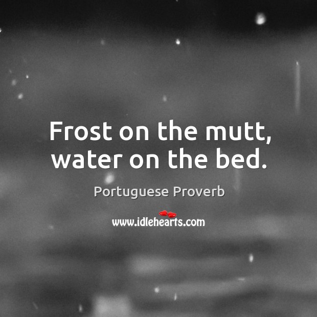 Frost on the mutt, water on the bed. Portuguese Proverbs Image