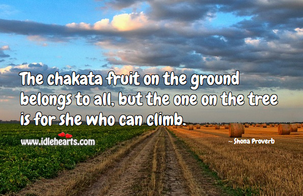 The chakata fruit on the ground belongs to all, but the one on the tree is for she who can climb. Shona Proverbs Image