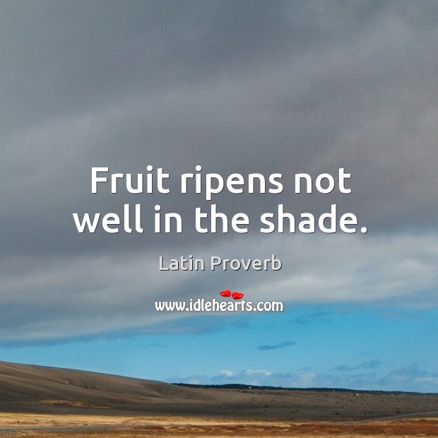 Fruit ripens not well in the shade. Image