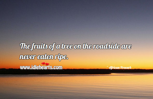 The fruits of a tree on the roadside are never eaten ripe. Image