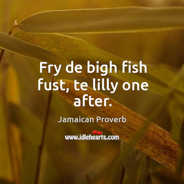 Fry de bigh fish fust, te lilly one after. Image