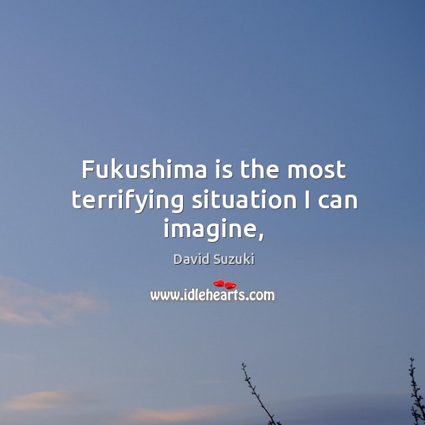 Fukushima is the most terrifying situation I can imagine, David Suzuki Picture Quote