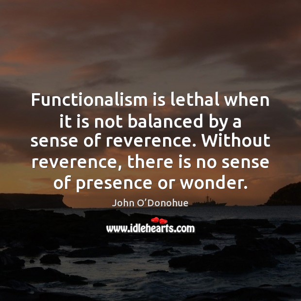 Functionalism is lethal when it is not balanced by a sense of John O’Donohue Picture Quote