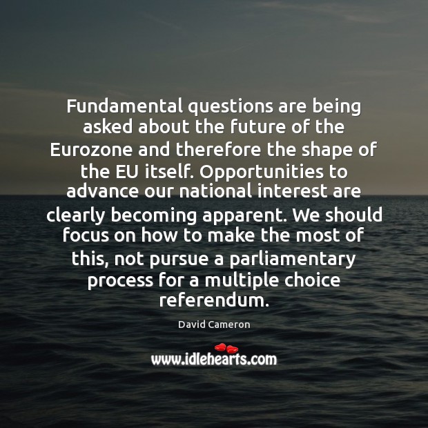Fundamental questions are being asked about the future of the Eurozone and David Cameron Picture Quote