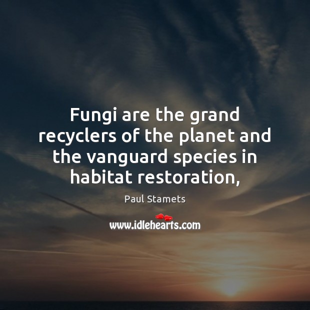 Fungi are the grand recyclers of the planet and the vanguard species Paul Stamets Picture Quote