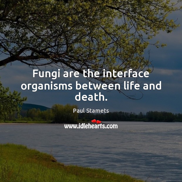 Fungi are the interface organisms between life and death. Paul Stamets Picture Quote