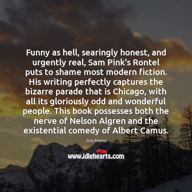 Funny as hell, searingly honest, and urgently real, Sam Pink’s Rontel puts Joe Meno Picture Quote