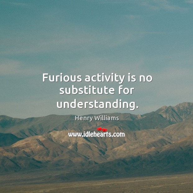 Furious activity is no substitute for understanding. Henry Williams Picture Quote
