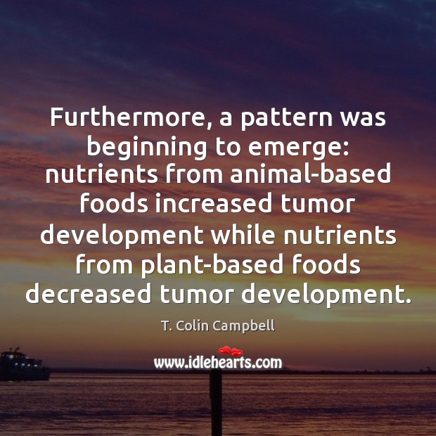 Furthermore, a pattern was beginning to emerge: nutrients from animal-based foods increased T. Colin Campbell Picture Quote